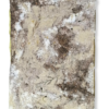Livret végétal "Le Grimoire"