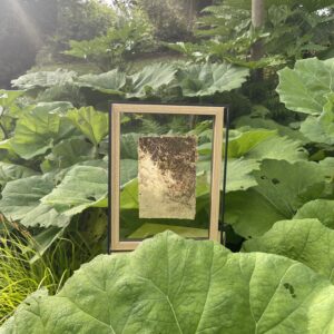 Entre deux verres - Involucre de Noisette, Artichaut et Maïs