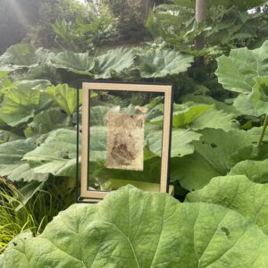Entre deux verres - Artichaut et Noisette