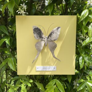 Papillon Nathanaël - Jaune pastel