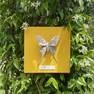 Papillon Philomène - Jaune soleil
