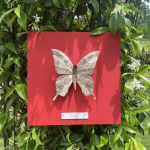 Papillon Zéphyre - Rouge