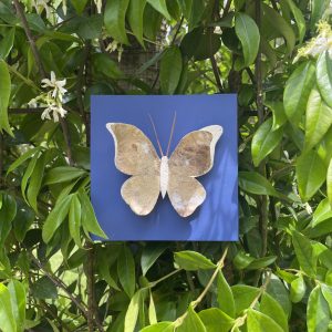 Papillon - Bleu outremer