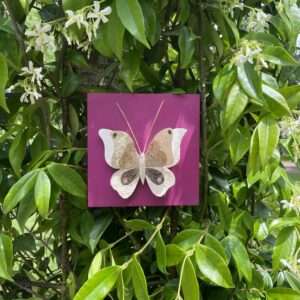 Papillon - Cassis