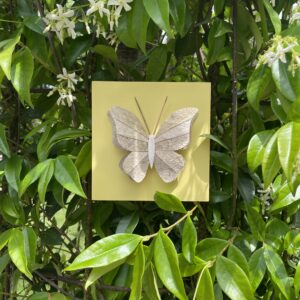 Papillon - Jaune pastel