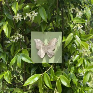 Papillon - Vert amande