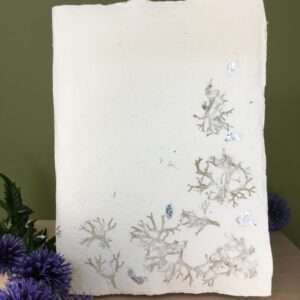 Carnet d'artiste - Lichen