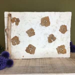 Livre d'or - Hortensia